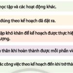 Sự chăm chỉ trong công việc