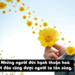 Ca dao Bầu ơi thương lấy bí cùng nhắc nhở về tình đoàn kết
