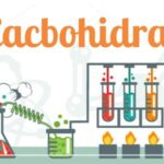 Cacbohidrat Gluxit Saccarit