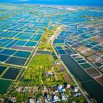 Tổng quan diện tích nuôi tôm ở Việt Nam