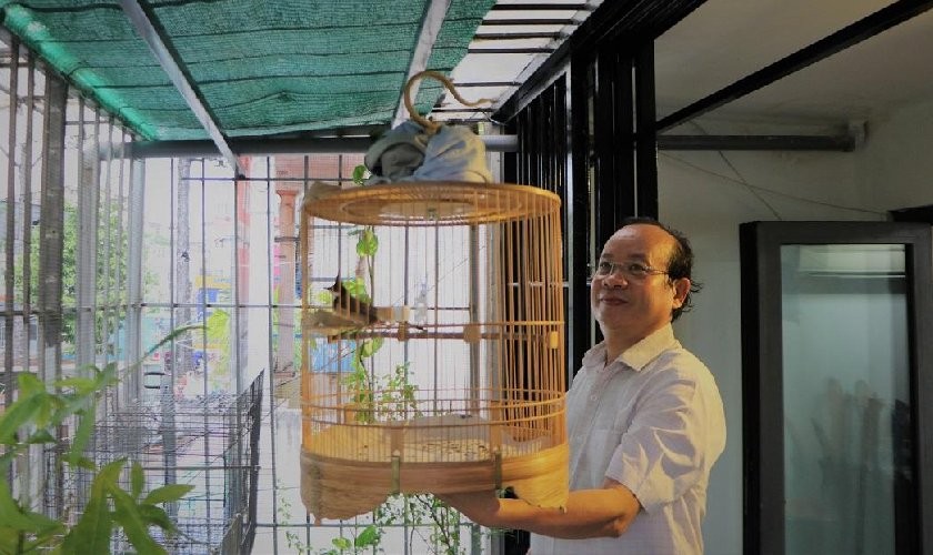 Nên treo lồng chim ở những nơi yên tĩnh để đảm bảo giấc ngủ sâu và chất lượng