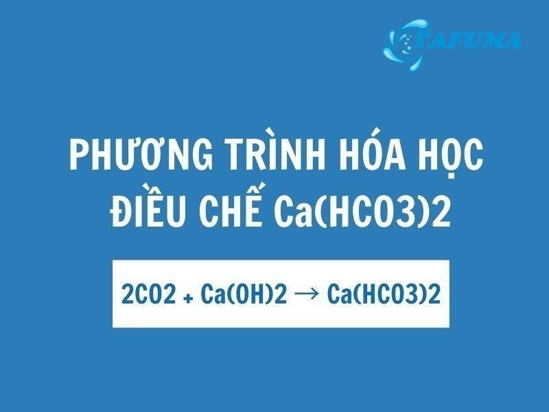 Điều chế Canxi bicacbonat