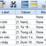 khai bÃ¡o biáº¿n trÃªn SPSS
