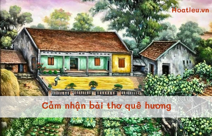 Cáº£m nháº­n QuÃª hÆ°Æ¡ng cá»§a Äá»— Trung QuÃ¢n