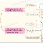 Vectơ lực tác dụng lên vật
