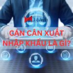 Cán cân xuất nhập khẩu