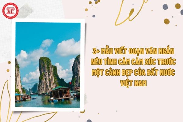 Du thuyền trên Vịnh Hạ Long với những hòn đảo đá vôi hùng vĩ, tạo nên một cảnh quan thiên nhiên tuyệt đẹp.