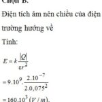 Điện tích điểm và điện trường