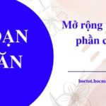 Xe tải Hino XZU300