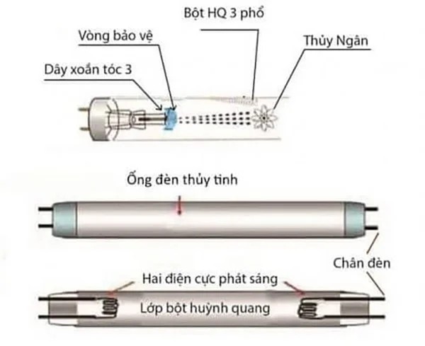 Cấu tạo đèn huỳnh quang