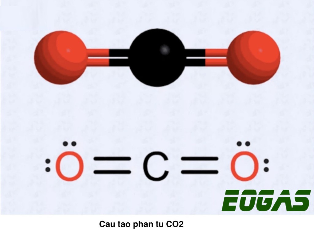 Cấu tạo phân tử CO2