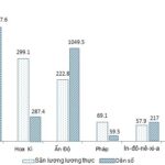Biểu đồ sản lượng lương thực và dân số của các nước năm 2002