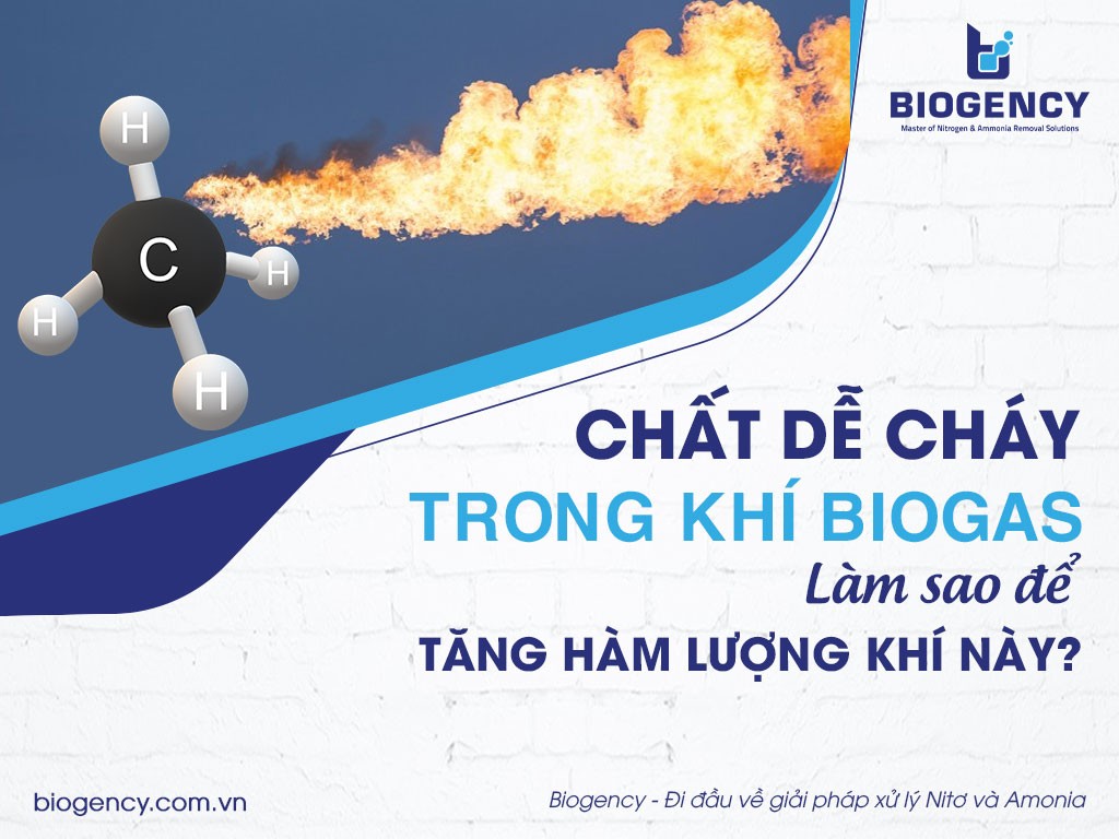 Thành phần khí biogas và ứng dụng trong đời sống