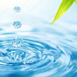 Chất tinh khiết là gì?