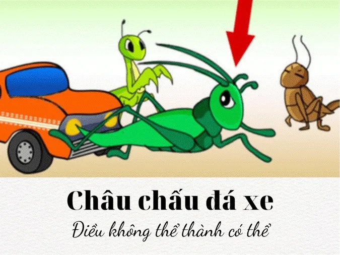 Ý nghĩa sâu sắc của câu tục ngữ nực cười châu chấu đá xe