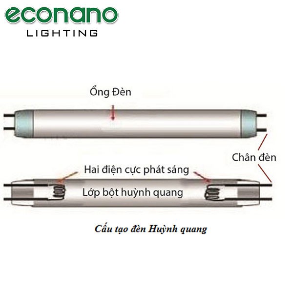 Cấu tạo chi tiết đèn huỳnh quang với các bộ phận và nguyên lý hoạt động minh họa rõ ràng