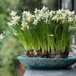 Hình ảnh minh họa chiếc bình nứt và luống hoa tươi tốt
