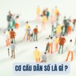 Phân loại cơ cấu dân số