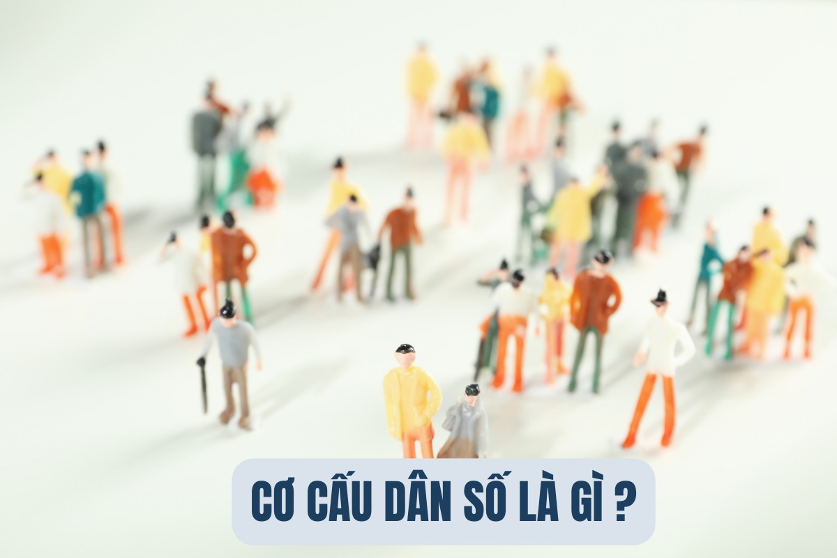 Phân loại cơ cấu dân số