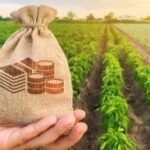 Đất nông nghiệp trồng lúa tại đồng bằng sông Cửu Long