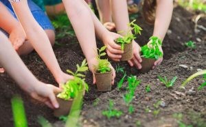 Người sử dụng đất có quyền được hưởng thành quả lao động, kết quả đầu tư trên thửa đất của mình