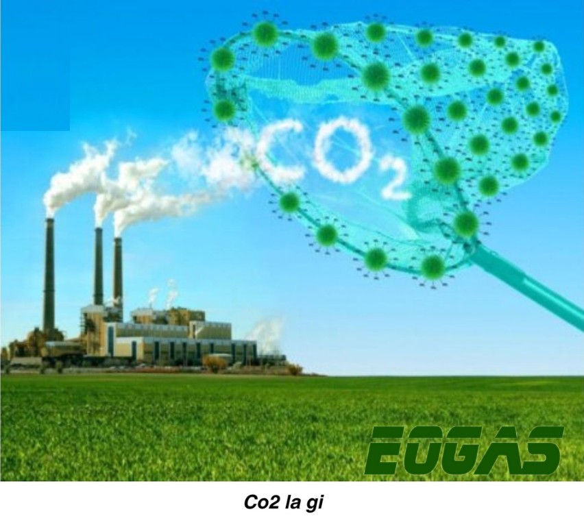 CO2 là gì 1