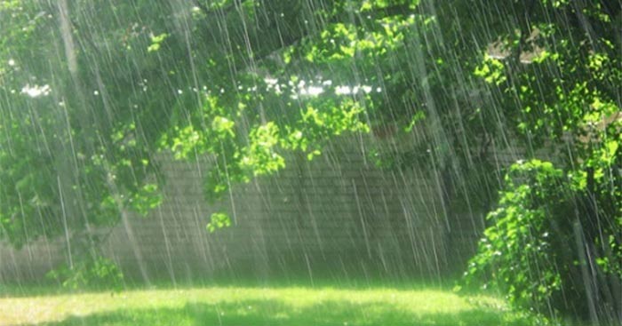 Hình ảnh minh họa cơn mưa