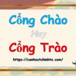 Cổng chào đám cưới trang trí hoa tươi
