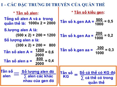 Công thức tính tần số alen và gen