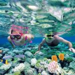 Người thợ lặn đang khám phá vẻ đẹp dưới đại dương