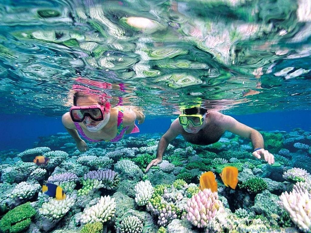 Người thợ lặn đang khám phá vẻ đẹp dưới đại dương