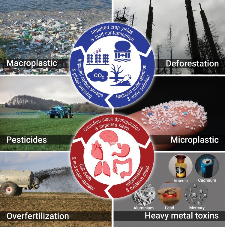 Ô nhiễm không khí