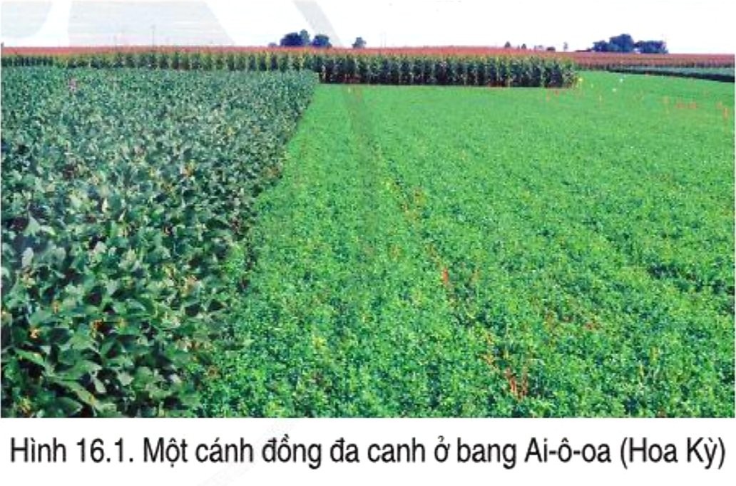 Khai Thác Tài Nguyên Đất Bền Vững