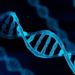 Cấu trúc DNA