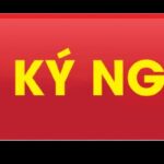 Hình ảnh minh họa về tầm quan trọng của giao tiếp trong lĩnh vực xe tải