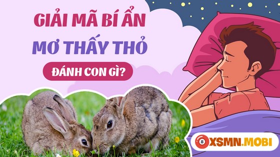Con Số May Mắn Nào Khi Mơ Thấy Thỏ?