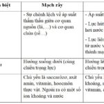 Cấu tạo mạch gỗ