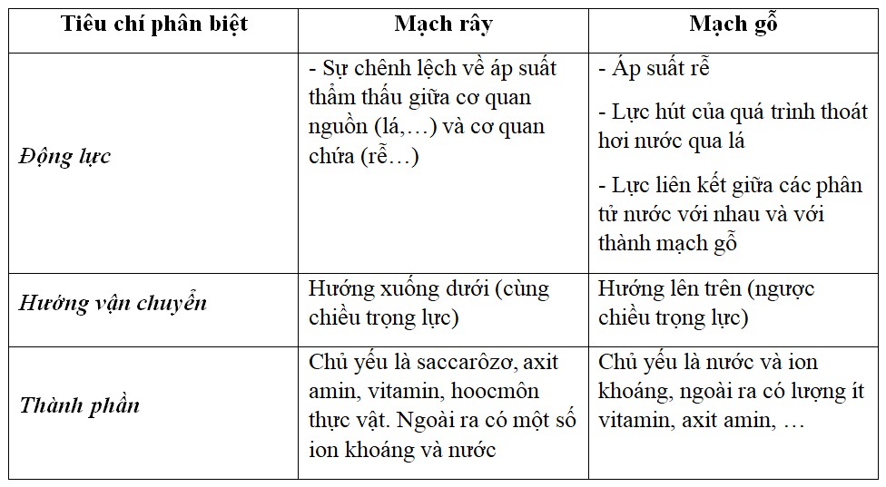 Cấu tạo mạch gỗ