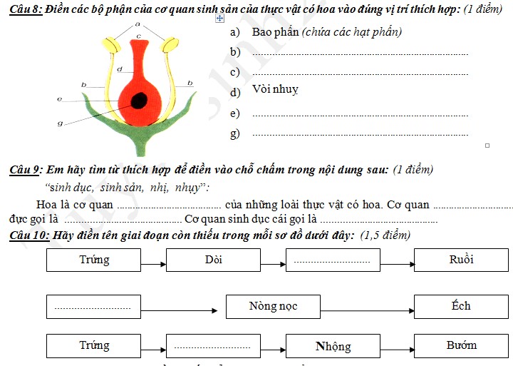 Dung dịch muối ăn