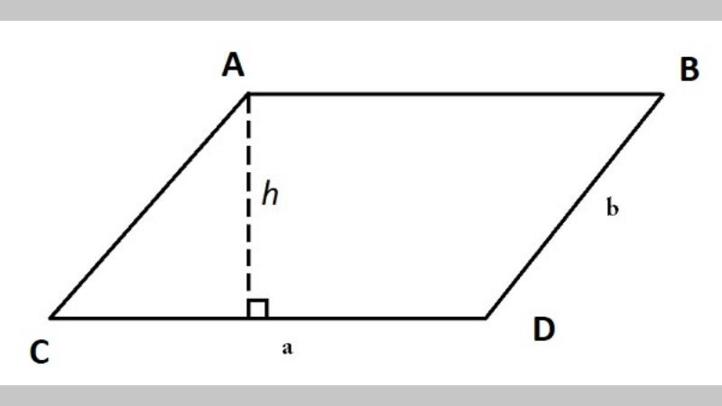 Æ¯Ìng dá»¥ng cá»§a diá»‡n tÃ­ch hÃ¬nh bÃ¬nh hÃ nh trong cÃ¡c lÄ©nh vá»±c