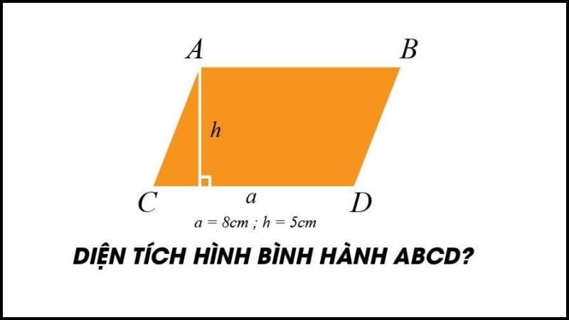 BÃ i táº­p vÃ­ dá»¥ cÃ³ lá» i giáº£i chi tiáº¿t