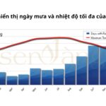 Đà Nẵng lung linh về đêm dưới cơn mưa
