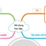 Bàn học tập với sách vở, đèn bàn và các đồ dùng học tập khác
