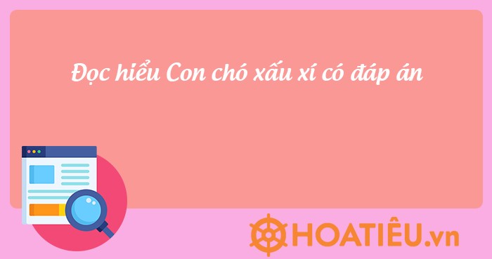 Con chó xấu xí đọc hiểu