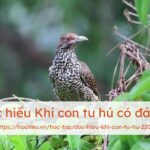 Bức tranh minh họa bài thơ Khi con tu hú của Tố Hữu thể hiện tiếng chim tu hú và không gian mùa hè