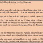 Ảnh đồng lúa xanh mướt