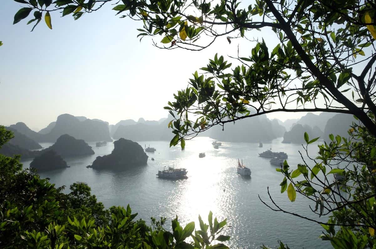 Vịnh Hạ Long nhìn từ đảo Titop