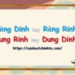 Ảnh minh họa cho sự khác biệt giữa rung rinh và dung dinh