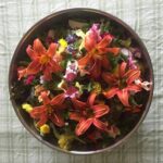 Bữa ăn nhanh hấp dẫn