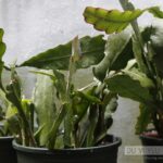 Xe tải dưới trời nắng nóng